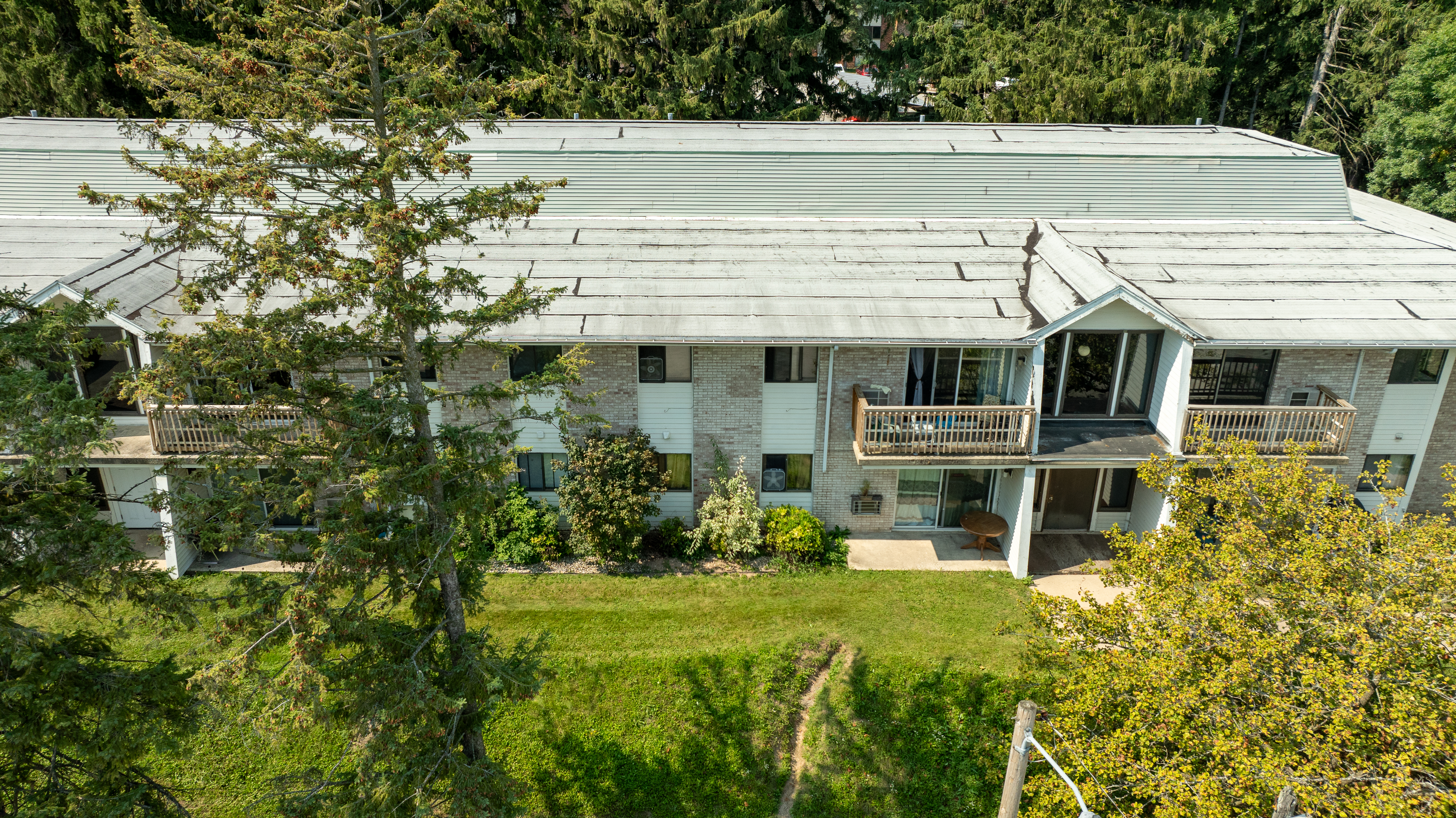 Tall Pines nestled among the trees