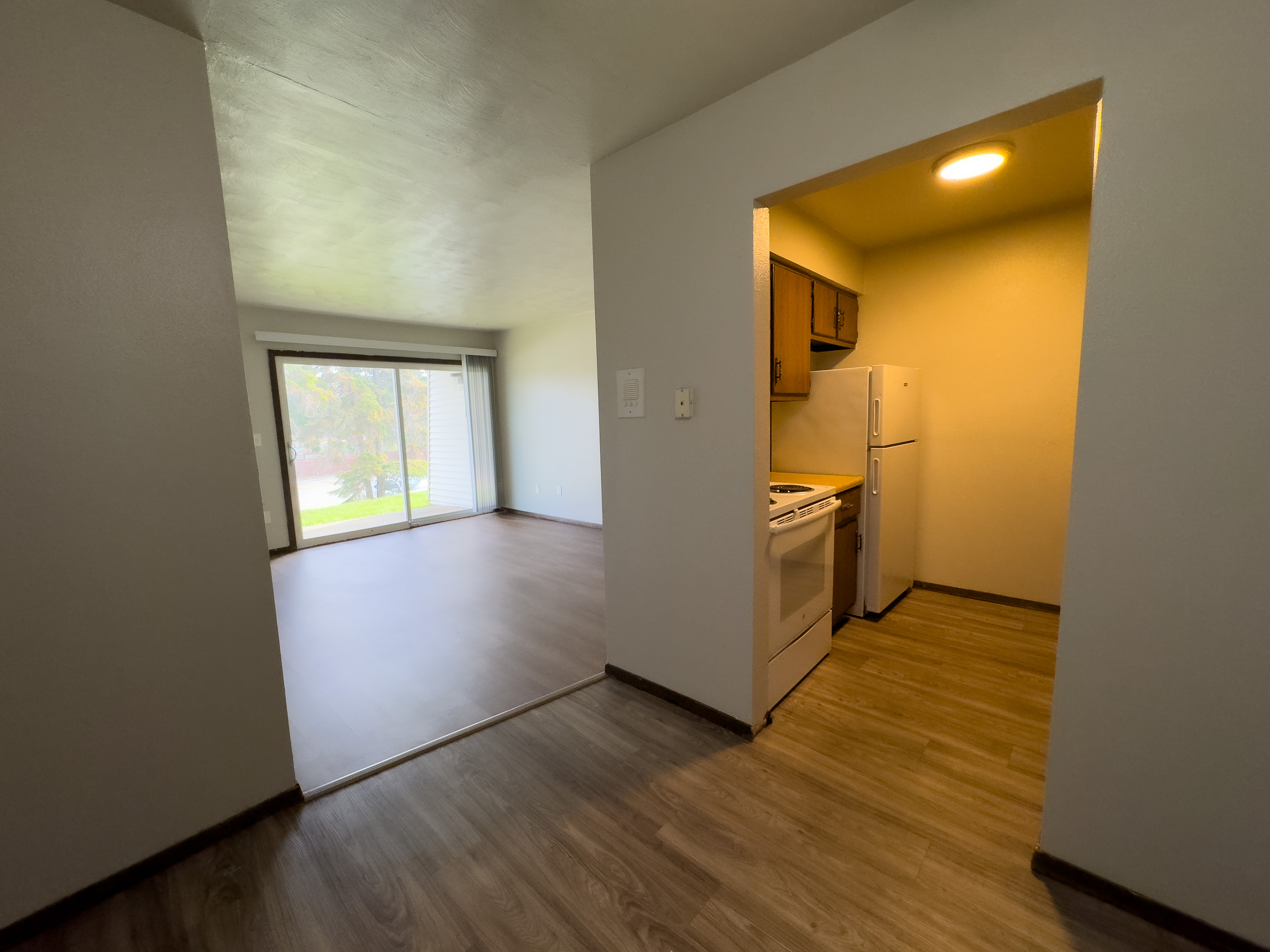 Studio at Tall Pines Apartments